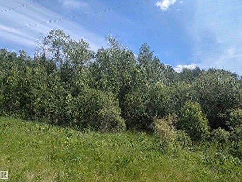 Natural landscape with abundant mature trees and varied green foliage - #38 56110 Rge Road 13, Rural Lac Ste. Anne County, AB 