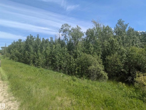 Expansive land parcel featuring dense mature trees and lush green vegetation - #38 56110 Rge Road 13, Rural Lac Ste. Anne County, AB 