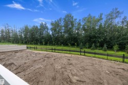 Spacious backyard with a dirt surface, bordered by a black metal fence - 