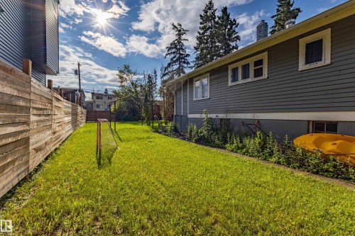 Spacious grassy yard featuring a horizontal wood plank fence and mature evergreen trees - 11238 123 Street, Edmonton, AB 