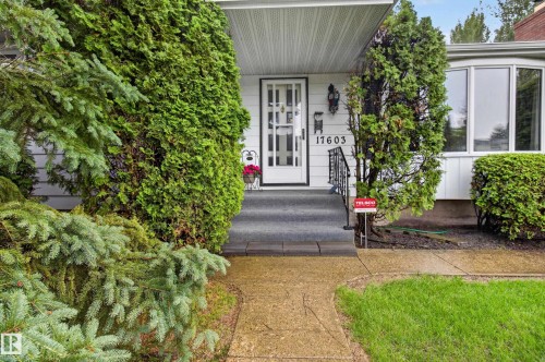 White siding exterior with a covered entryway, showcasing a bay window, a front door with decorative glass, and established evergreen landscaping - 17603 85 Avenue Nw, Edmonton, AB 