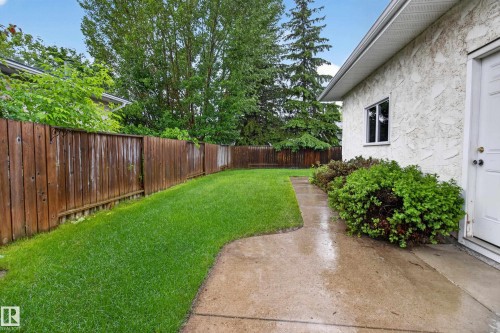 Spacious rear yard featuring an expansive lawn, concrete pathway, and mature perimeter fencing - 17603 85 Avenue Nw, Edmonton, AB 
