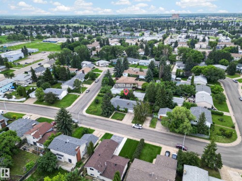 Residential neighborhood featuring mature trees and established homes - 17603 85 Avenue Nw, Edmonton, AB 