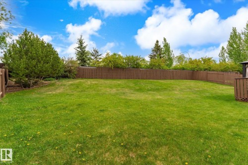 Expansive green lawn surrounded by a privacy fence - 59 Patterson Crescent, St. Albert, AB - Outdoor