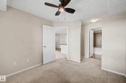 Neutral-toned carpeting throughout - 