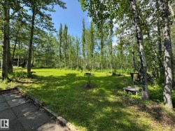 Expansive wooded lot featuring mature trees and a large grassy clearing - 