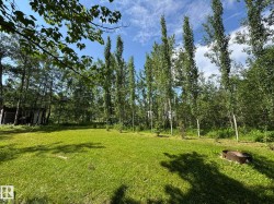 Expansive grassy area surrounded by mature trees, featuring a fire pit and a rustic shed structure - 