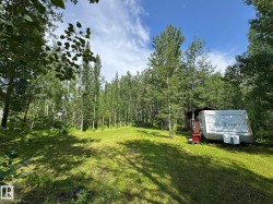Expansive green space featuring a clear grassy area and numerous mature trees - 