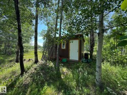 Detached brown structure with white door, set amongst mature deciduous trees - 