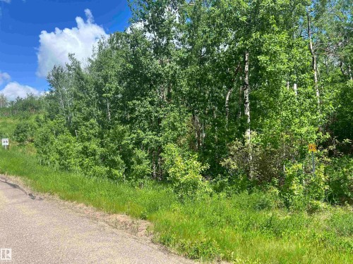 Lot 62 - 62 & 63 Coney Drive, Rural St. Paul County, AB 