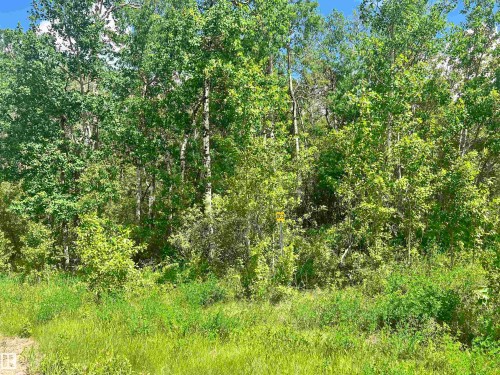 Lot 63 - 62 & 63 Coney Drive, Rural St. Paul County, AB 