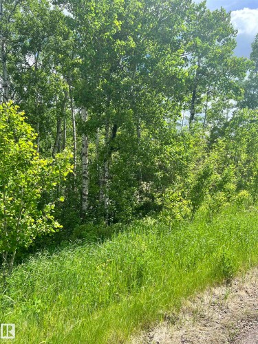 62 & 63 Coney Drive, Rural St. Paul County, AB 
