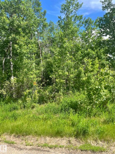 Wooded lot featuring mature trees and lush greenery - 62 & 63 Coney Drive, Rural St. Paul County, AB 