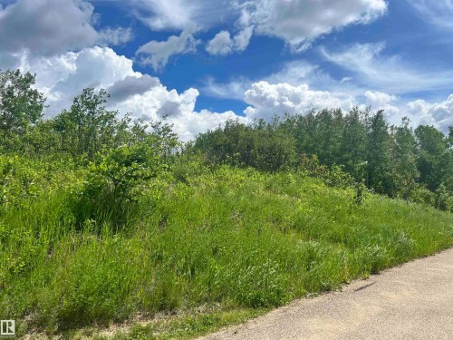 62 & 63 Coney Drive, Rural St. Paul County, AB 