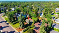 Expansive residential area featuring mature tree coverage and established landscaping - 