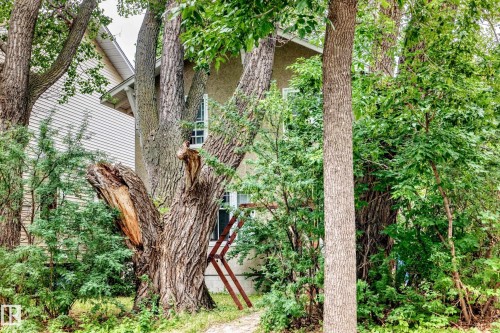 8630 108A Street, Edmonton, AB 