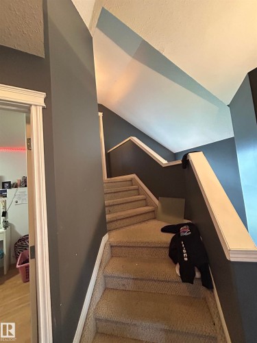Carpeted staircase featuring white handrails and dark gray wall finishes - 17 Willowby Close, Stony Plain, AB 