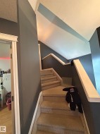 Carpeted staircase featuring white handrails and dark gray wall finishes - 