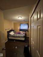 Image quality insufficient for description - 