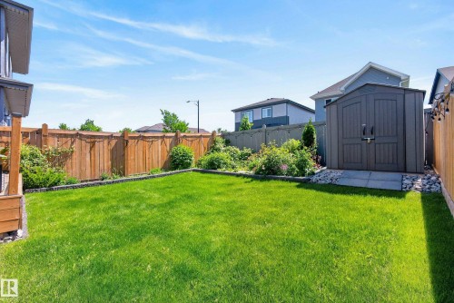 Expansive fenced backyard featuring a lush lawn, established perimeter landscaping, and a freestanding storage shed - 20907 131 Avenue, Edmonton, AB 