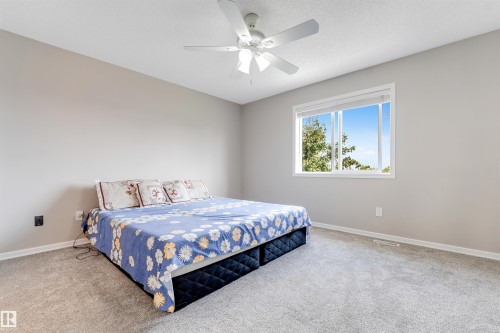 Carpeted room featuring a ceiling fan with integrated lighting, a large window with white trim, and light gray wall finishes - 3449 28 Street, Edmonton, AB 