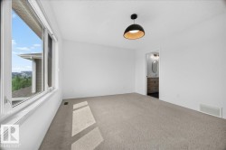 Carpeted room with a wide window, featuring a matte black dome pendant light fixture - 