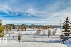 Expansive snow-covered landscape with a black metal fence and mature evergreen trees - 