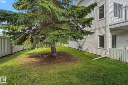 Landscaped exterior featuring a mature evergreen tree, sloped lawn, and a light-toned wood privacy fence - 