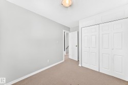 Neutral-toned wall paint and textured carpeting - 