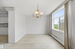 Spacious room featuring wood-finish flooring, a large window, a brass chandelier, and white baseboards - 