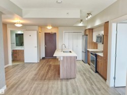 Open-concept living area featuring wood-finish flooring, a kitchen island with integrated sink, stainless steel appliances, modern cabinetry, and a bathroom vanity with under-sink storage - 
