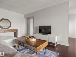 Living area featuring dark wood-finish flooring, light gray walls, and a textured white ceiling - 