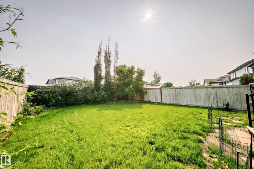 Expansive backyard featuring a spacious lawn, mature perimeter trees, and a full privacy fence - 8507 179 Avenue, Edmonton, AB 