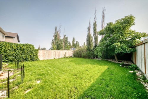 Expansive lawn area featuring a wooden privacy fence, mature trees, a retaining hedge, and stone landscaping accents - 8507 179 Avenue, Edmonton, AB 
