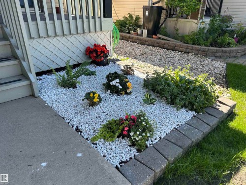 Landscaped garden bed featuring white decorative stones - 8507 179 Avenue, Edmonton, AB 