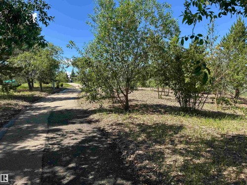 Paved pathway bordered by varied foliage and mature trees - 8507 179 Avenue, Edmonton, AB 
