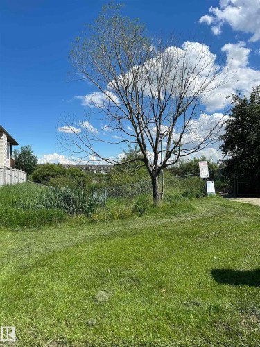 Expansive green space featuring a large deciduous tree, a chain-link fence, and natural foliage - 8507 179 Avenue, Edmonton, AB 