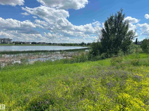 Expansive natural landscape featuring a prominent body of water, lush green grasses, and established trees - 8507 179 Avenue, Edmonton, AB 