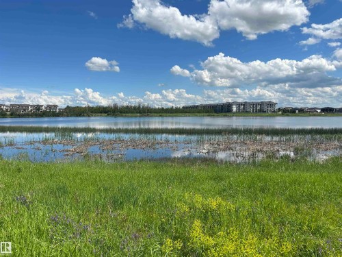 Expansive waterfront property featuring a large body of water, natural reeds, and lush green grass - 8507 179 Avenue, Edmonton, AB 