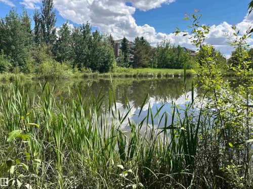 Waterfront setting with lush green foliage and mature trees - 8507 179 Avenue, Edmonton, AB 