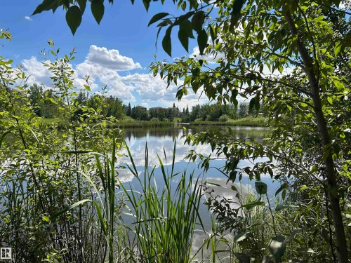 Natural water feature with surrounding lush foliage, mature trees, and natural grasses - 8507 179 Avenue, Edmonton, AB 