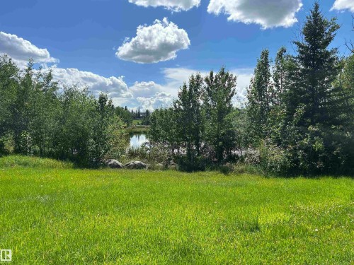Expansive green space featuring a natural pond surrounded by mature deciduous and evergreen trees, with visible boulders defining the water's edge - 8507 179 Avenue, Edmonton, AB 