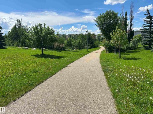 Paved pathway winding through expansive grassy areas with scattered trees and shrubs - 8507 179 Avenue, Edmonton, AB 