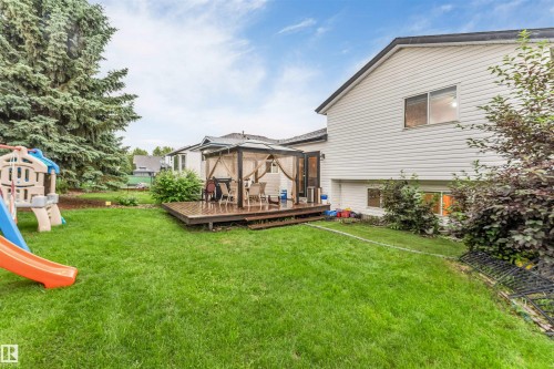 Expansive backyard featuring a large wood deck with a gazebo, mature evergreen trees, and a manicured lawn - 312 Beringer Crescent, Edmonton, AB 
