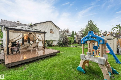 Expansive backyard featuring a green lawn and a spacious wood-finish deck with a covered gazebo - 312 Beringer Crescent, Edmonton, AB 