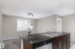 Kitchen island featuring a double basin sink, dark countertop, and integrated stainless steel dishwasher - 