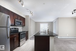 Kitchen featuring dark wood cabinetry, stainless steel appliances, a tile backsplash, and an island with an undermount sink - 