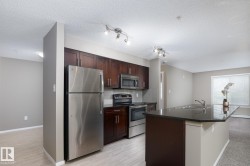 Kitchen featuring a dark wood cabinetry, stainless steel appliances, a dark countertop island with an integrated double sink, and light wood-finish flooring - 