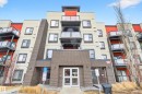 125 304 Ambleside Link Link, Edmonton, AB 