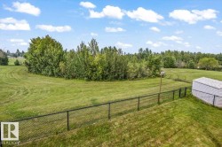 Expansive green space featuring a chain-link fence, mature trees, and a storage shed - 